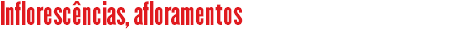 Inflorescências, afloramentos